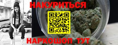 стаф Будённовск