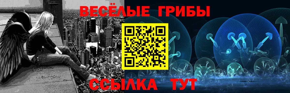 Галлюциногенные грибы мухоморы Скопин