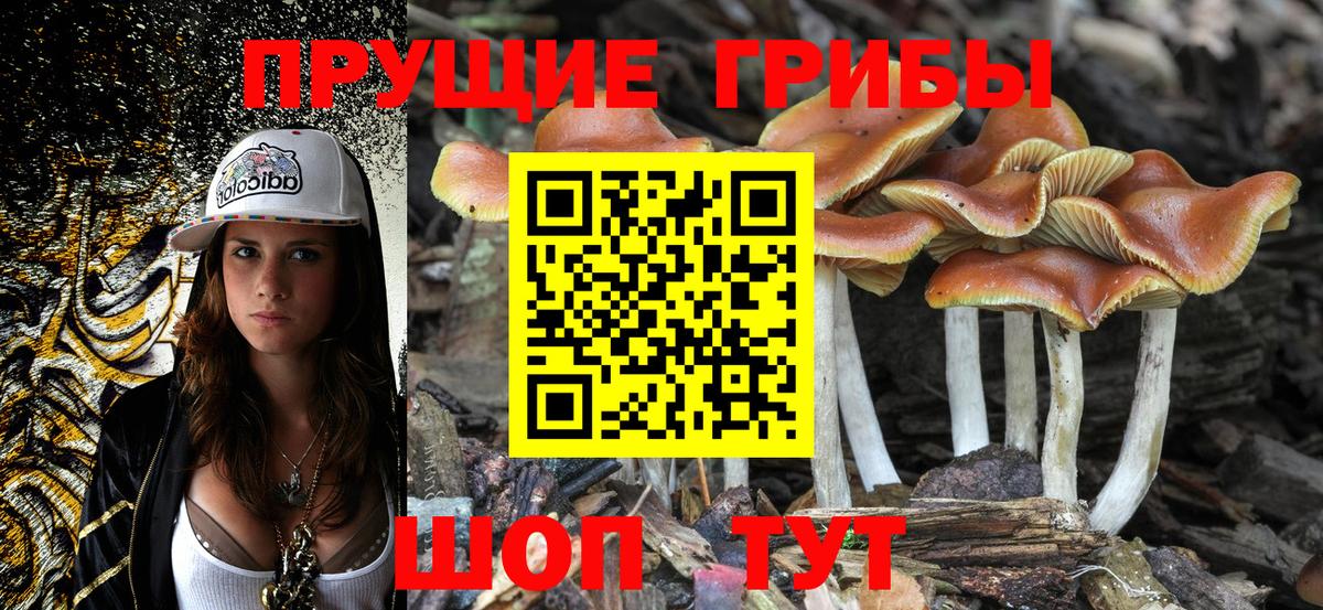 купить наркотики цена  Галлюциногенные грибы прущие грибы  Вход с VPN  Скопин 