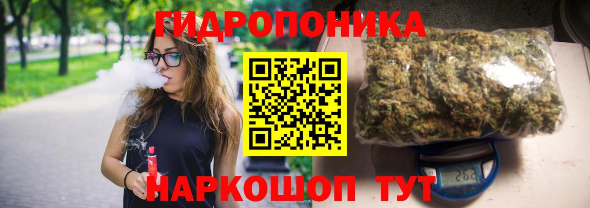 Каннабис план  Марихуана планчик  Вход с VPN  Бошки Шишки OG Kush  Бошки Шишки Amnesia  Скопин 